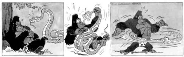 Drole de Zoo-humourenvrac